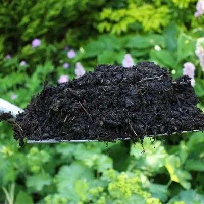 植物土壤肥效檢測