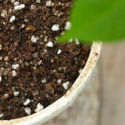 植物土壤肥效檢測