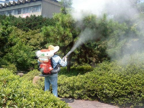 園林綠化養護